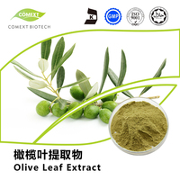 橄榄叶提取物羟基酪醇