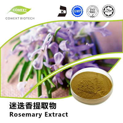 迷迭香提取物熊果酸
