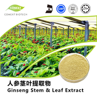 人参茎叶提取物