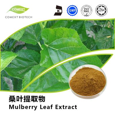 桑叶提取物 1-DNJ